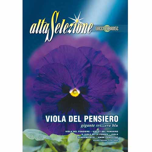 Швейцарска многоцветна теменужка син изображение 1 артикул 96360