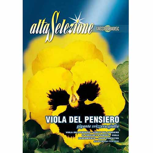 Швейцарска многоцветна теменужка жълта изображение 1 артикул 96362