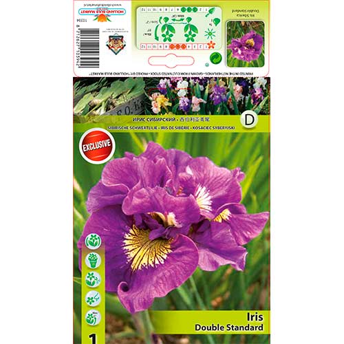 Сибирски ирис Double Standard изображение 1 артикул 76287