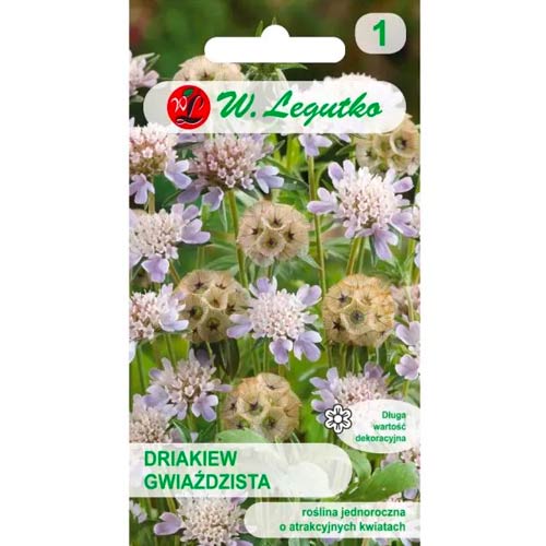 Скабиоза звездообразна Legutko изображение 1 артикул 96697