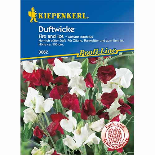 Декоративен грах Fire and Ice изображение 1 артикул 96530