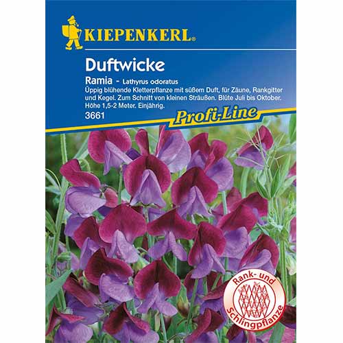 Декоративен грах Ramia изображение 1 артикул 96531