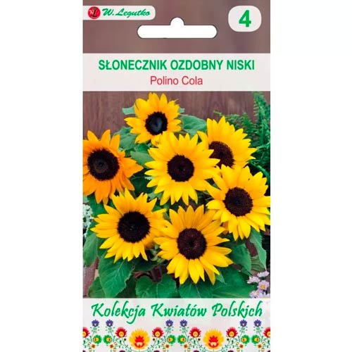 Слънчоглед декоративен Polino Cola Legutko изображение 1 артикул 86735