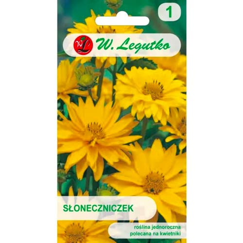 Heliopsis słonecznikowy Summer Sun interface.image 1 interface.art 96728