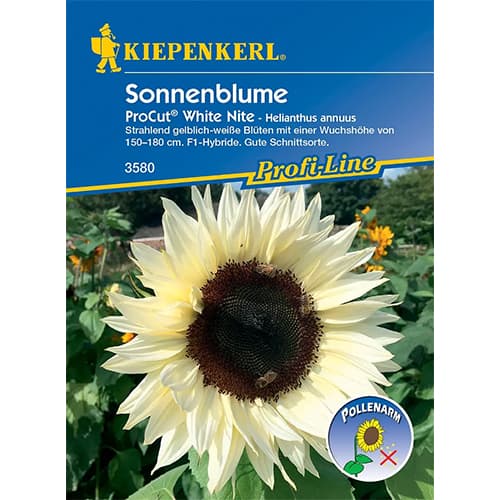 Slonecznik ozdobny Pro Cut® White Nite interface.image 1 interface.art 86327