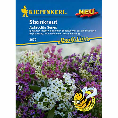 Smagliczka (Alyssum) Aphrodite Series, mix kolorow interface.image 1 interface.art 96586