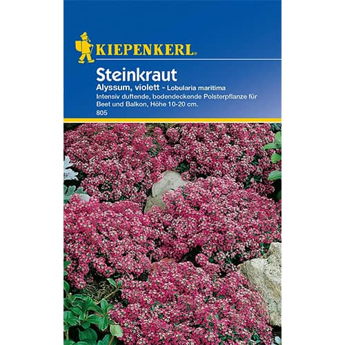 Smagliczka (Alyssum) fioletowa interface.image 1 interface.art 96585