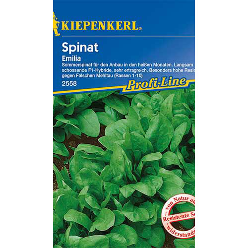 Spanac Emilia F1 Kiepenkerl imagine 1 articol 86534