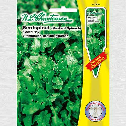 Spanac oriental Green Boy imagine 1 articol 69184