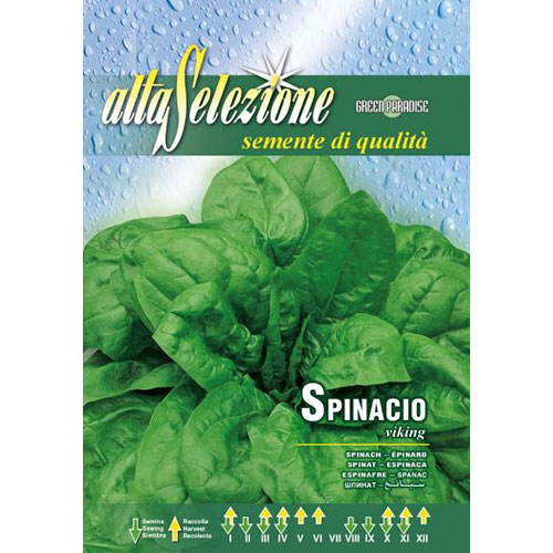 Spanac Viking imagine 1 articol 87179