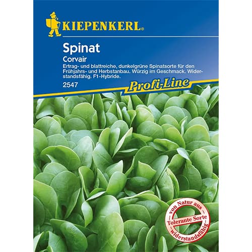 Спанак Corvair F1 Kiepenkerl изображение 1 артикул 86533