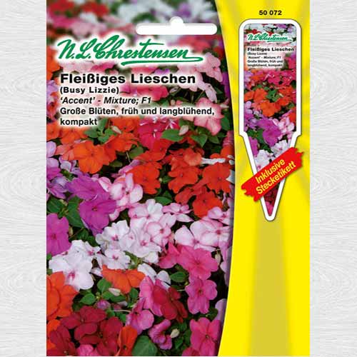 Sporul casei Accent F1, mix multicolor imagine 1 articol 69321