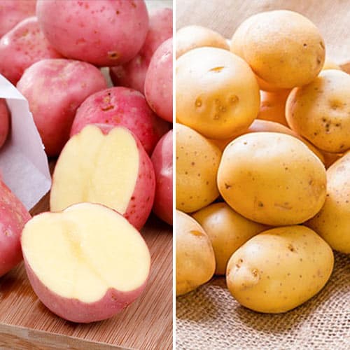 Ofertă specială! Cartofi de sămânță Dietă, set de 2 soiuri imagine 1 articol 9641