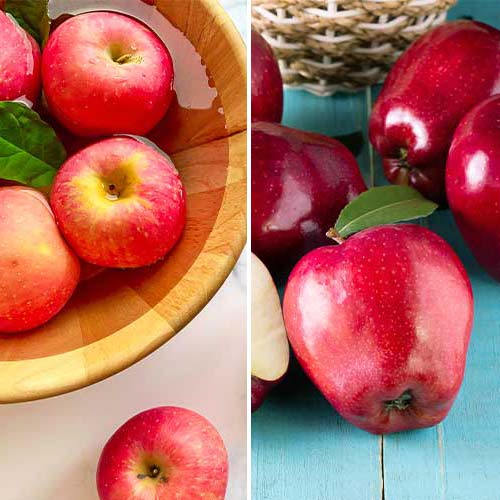 Супер оферта! Комплект ябълки, 2 сорта изображение 1 артикул 5872