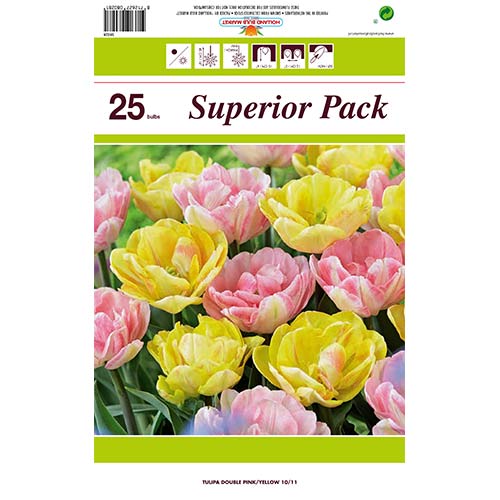 Ofertă specială! Lalele, set de 2 soiuri imagine 1 articol 70316