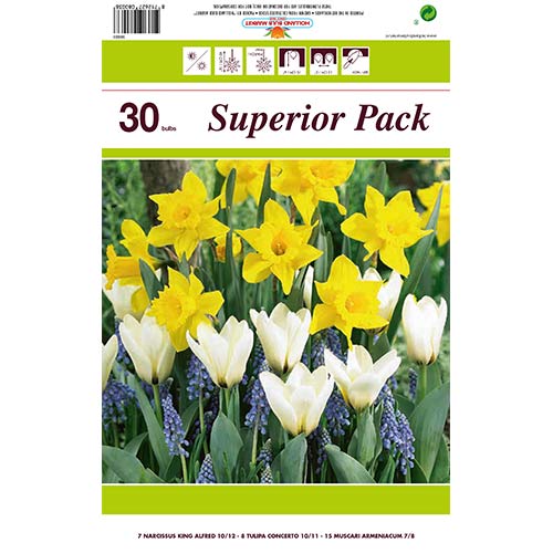 Ofertă specială! Narcise, Lalele si Muscari, set de 30 de bulbi imagine 1 articol 67902