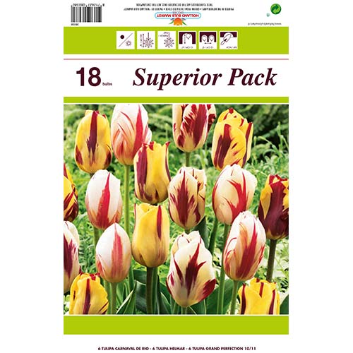 Super oferta! Tulipan Grace, zestaw 18 cebul interface.image 1 interface.art 67558