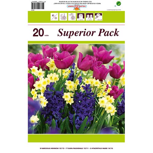 Super oferta! Tulipan Passionale, Narcyz Minnow, Hiacynt Marie, zestaw 20 cebul interface.image 1 interface.art 67905