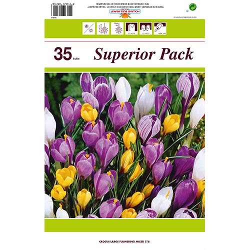 Super oferta! Krokus botaniczny mix kolorów, zestaw 35 cebul interface.image 1 interface.art 67911