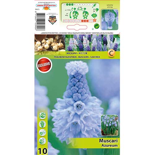 Szafirek Azureum interface.image 1 interface.art 67635