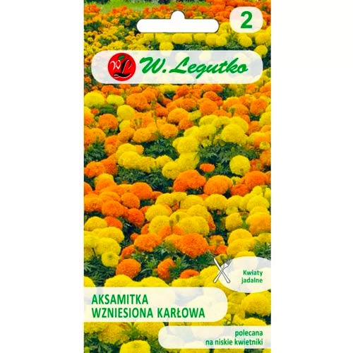 Тагетес джудже, смес Legutko изображение 1 артикул 50081