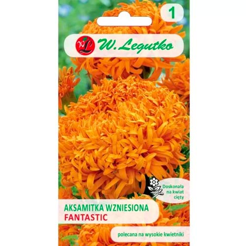 Тагетес Fantastic оранжева Legutko изображение 1 артикул 78507