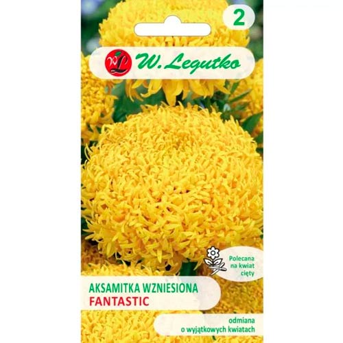 Тагетес Fantastic жълт Legutko изображение 1 артикул 96692