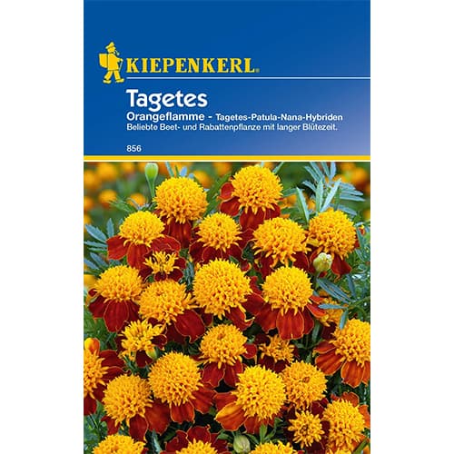 Тагетес Orangeflamme Kiepenkerl изображение 1 артикул 86542
