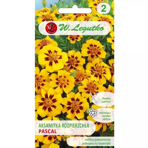 Тагетес разпръснати с единични цветя Pascal Legutko изображение 1 артикул 96690