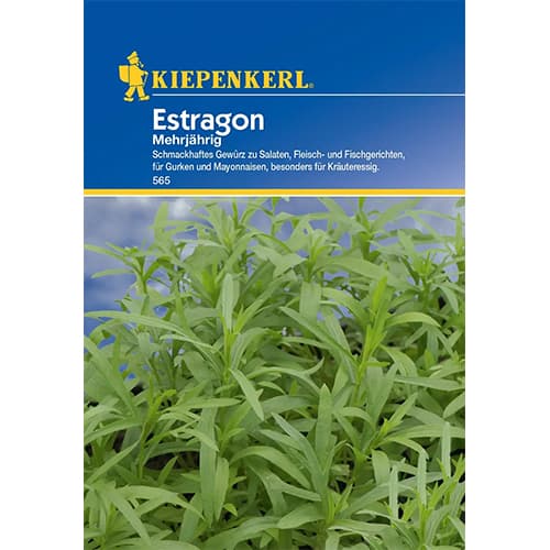 Tarhon peren imagine 1 articol 77498