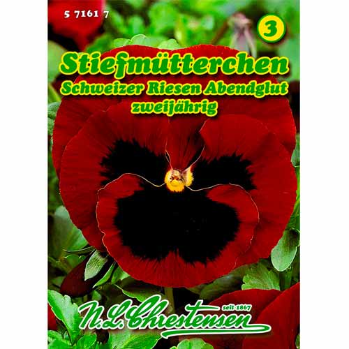 Теменужка Abendglut Chrestensen изображение 1 артикул 50037