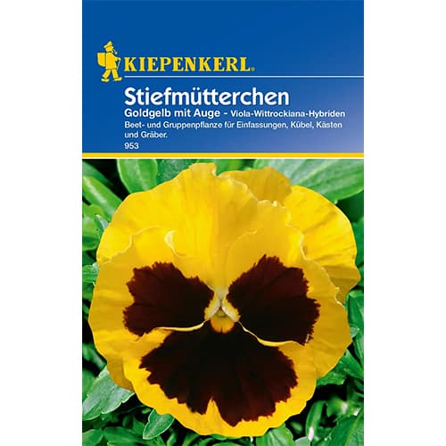 Теменужка Golden Yellow eyed Kiepenkerl изображение 1 артикул 86335