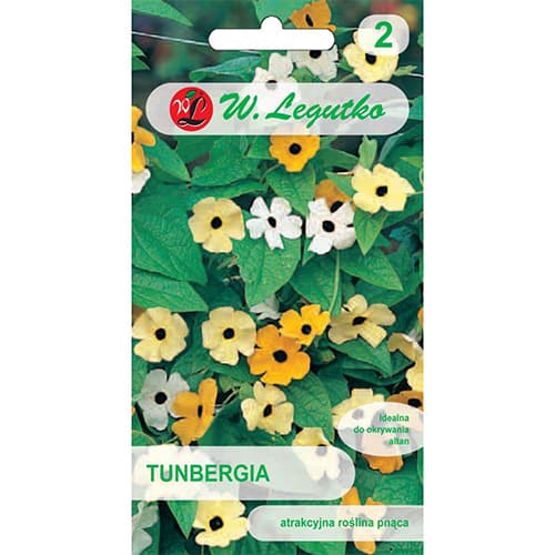 Thunbergia, mix multicolor imagine 1 articol 69636