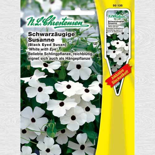 Thunbergia Black-eyed Susan imagine 1 articol 69393