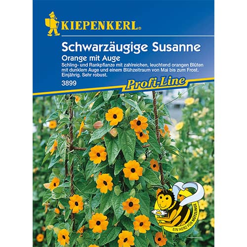 Thunbergia Susanne Orange Eye imagine 1 articol 86311