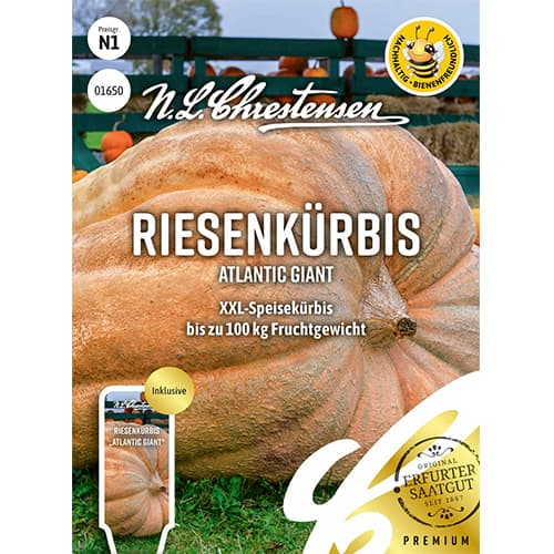 Тиква Atlantic Giant Chrestensen изображение 1 артикул 87848