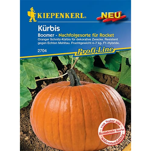 Тиква Boomer, F1 изображение 1 артикул 87786