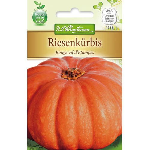 Тиква Rouge vif d´Etampes изображение 1 артикул 78797