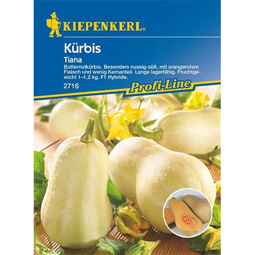 Тиква Tiana F1 изображение 1 артикул 87282