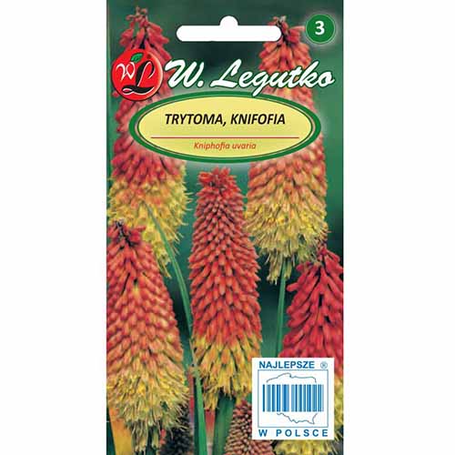 Crin făclie (Kniphofia) bicolor imagine 1 articol 96762