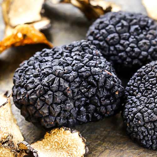 Trufă neagră imagine 1 articol 9741