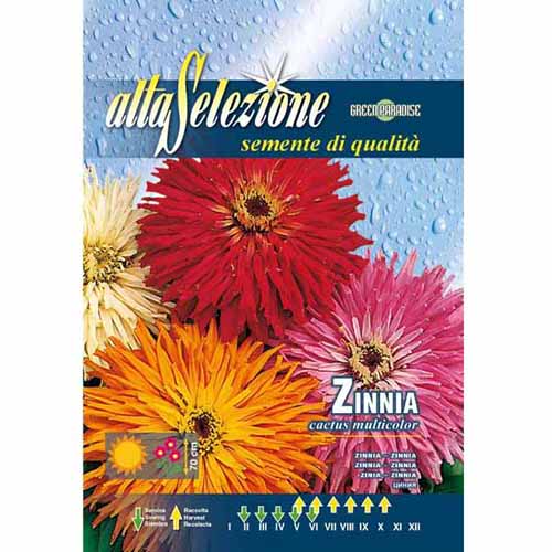 Циния кактус, смес от цветове изображение 1 артикул 96325