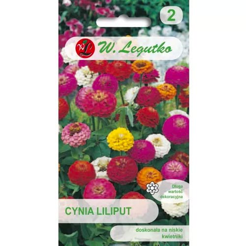 Циния Liliput, смес Legutko изображение 1 артикул 69578