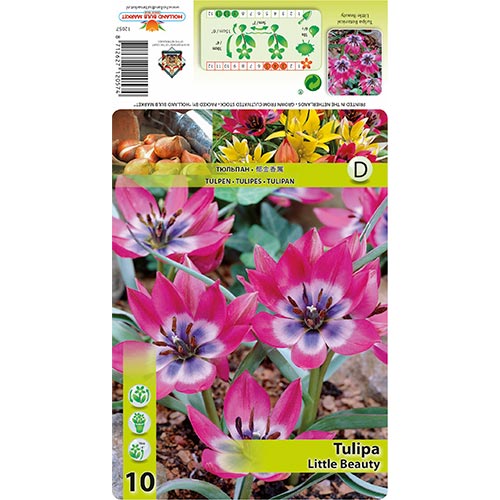 Lalele Little Beauty imagine 1 articol 67499