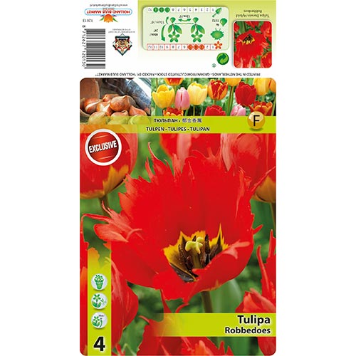 Tulipan Darwina Robbedoes interface.image 1 interface.art 68399