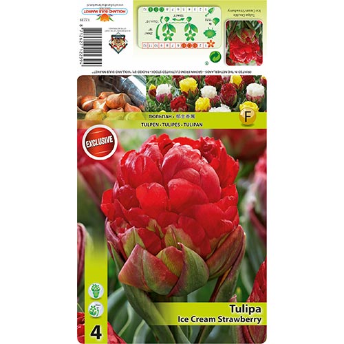 Tulipan Ice Cream Strawberry interface.image 1 interface.art 68403