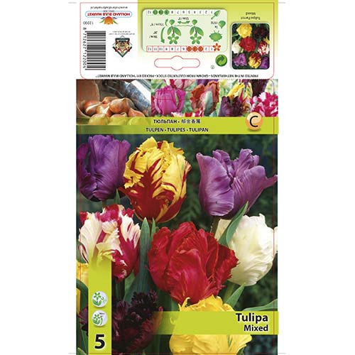 Tulipan papuzi, mix kolorów interface.image 1 interface.art 68085