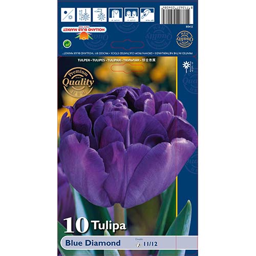 Tulipan pełny Blue Diamond interface.image 1 interface.art 67769