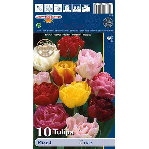 Tulipan pełny Double Late Mixed interface.image 1 interface.art 68037