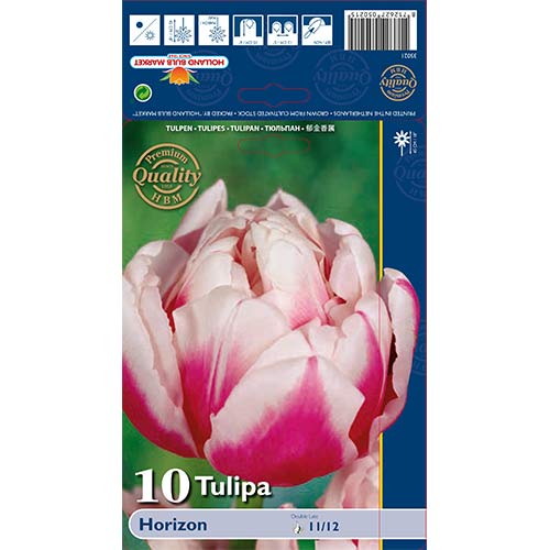 Tulipan pełny Horizon interface.image 1 interface.art 68109